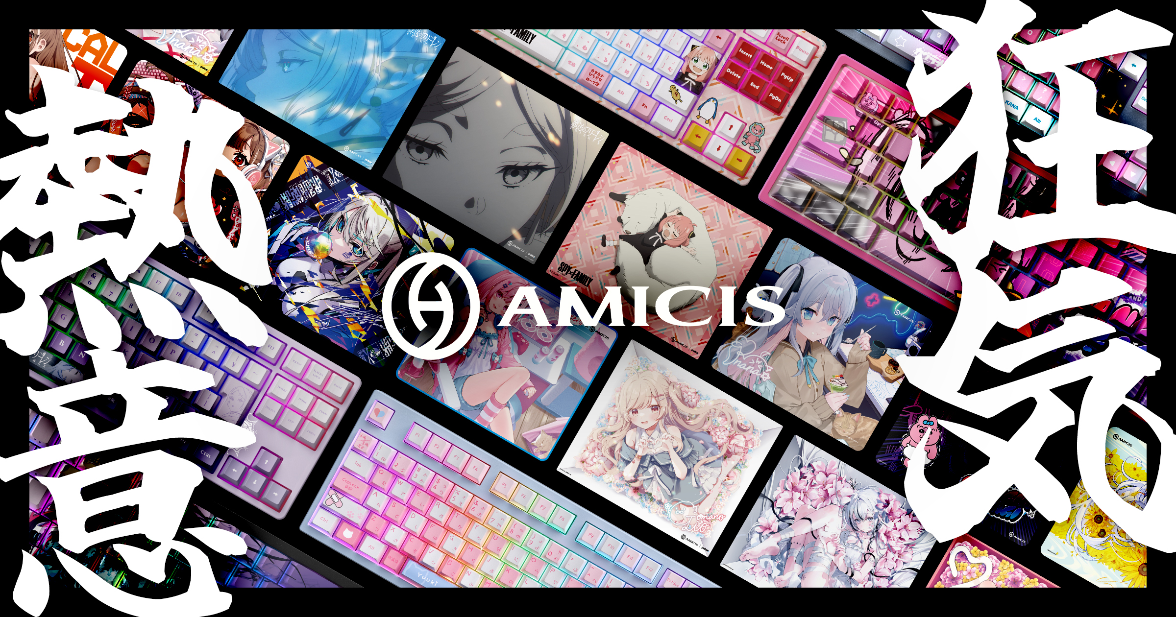 TEST（AMICIS_B）